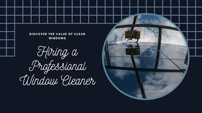 Professional Window Cleaner