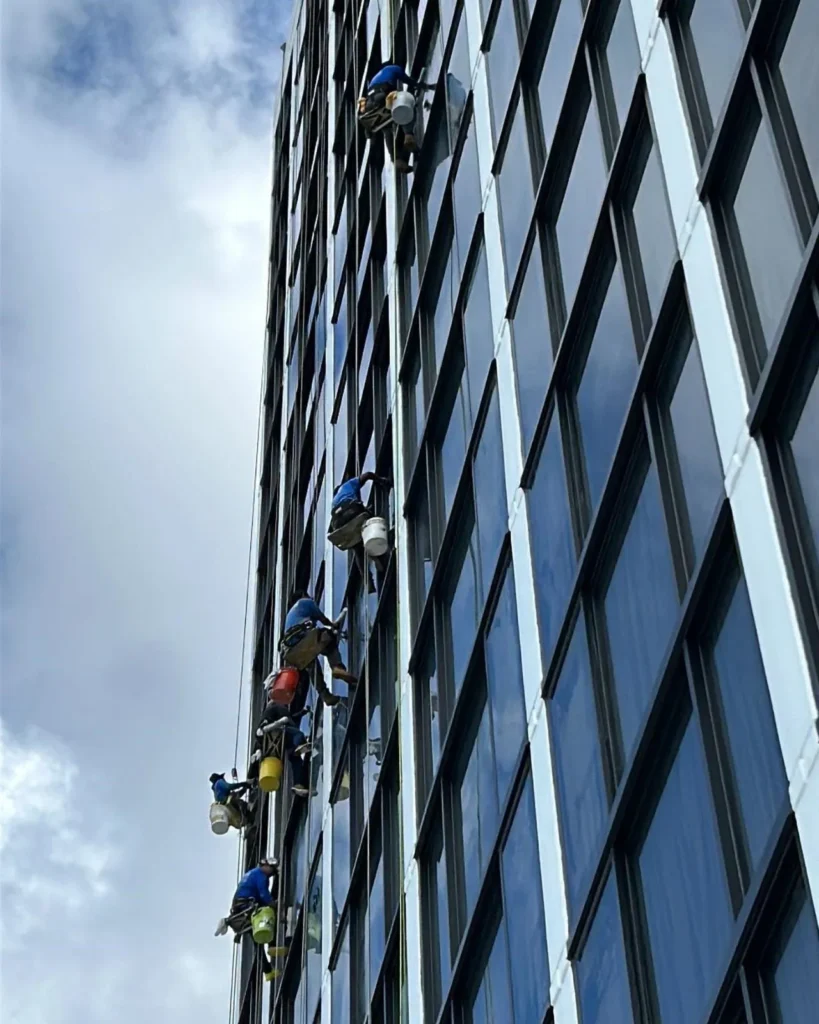 window cleaning experts