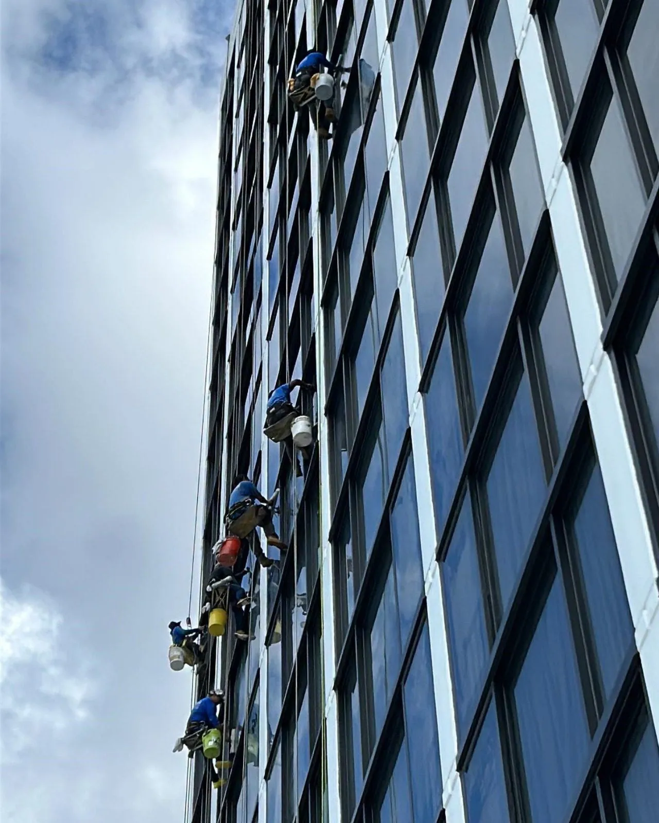 window cleaning experts