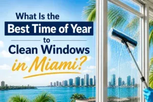 Clean Windows in Miami